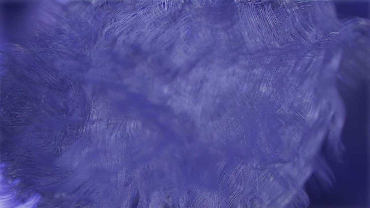 color-of-the-year-2022